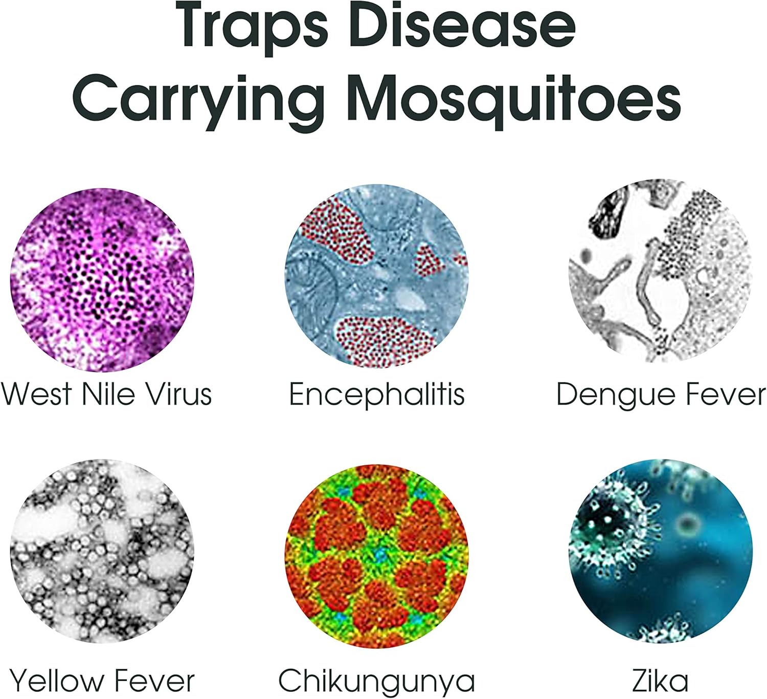 Mosquito Magnet Executive Mosquito Trap and Killer